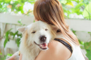 Happy pet reunification in the Coachella Valley, a reminder of the importance of pet safety and community support.